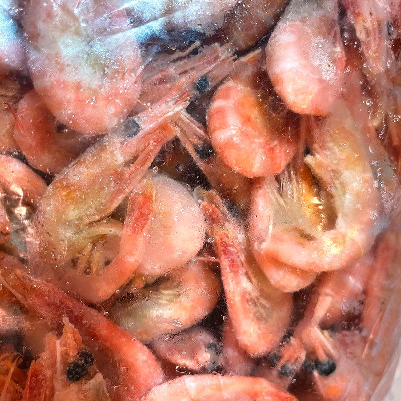 Swedish Shrimps 1KG (Cooked / Frozen) (熟蝦/急凍)