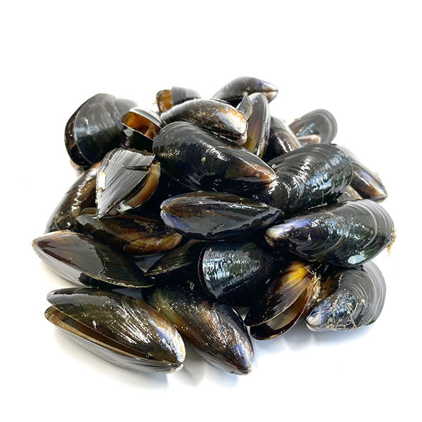 Live Mussels (鮮活青口) 1KG