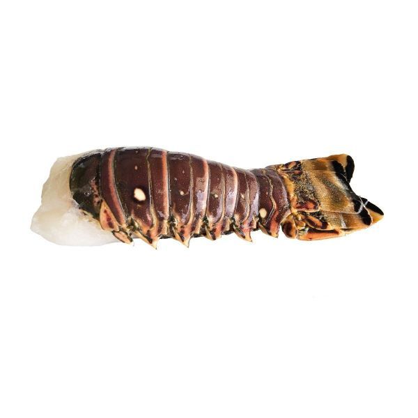 Frozen Raw Lobster Tail (急凍龍蝦尾)